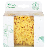 Packaged Natural Sponge-Croll & Denecke-Kami Store