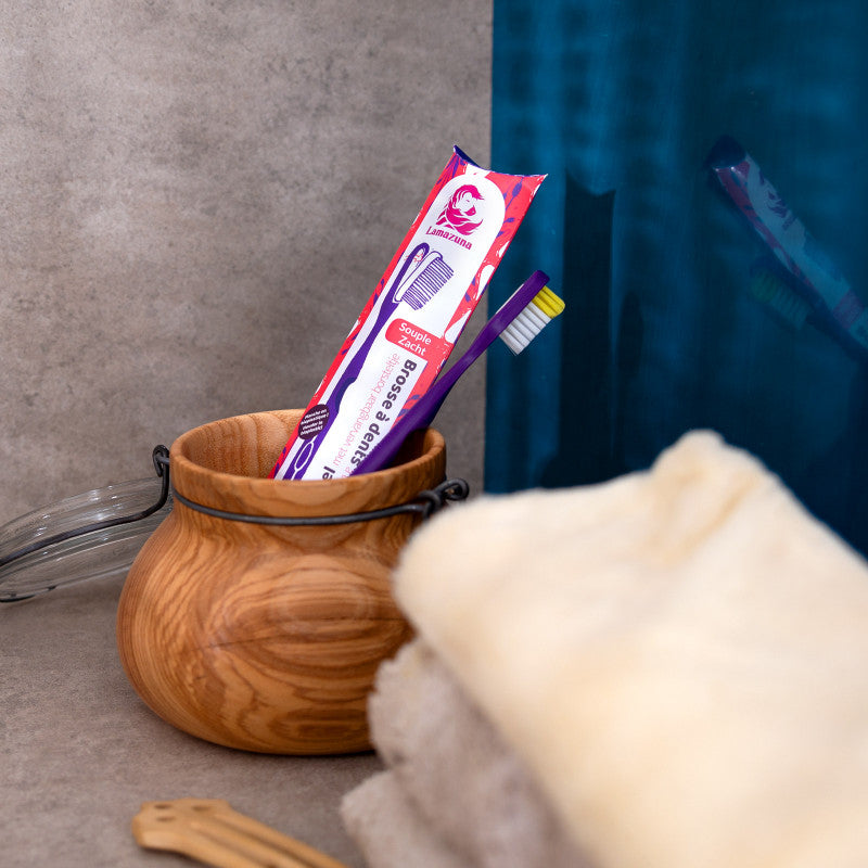 Soft Toothbrush with Replacement Head-Lamazuna-Kami Store